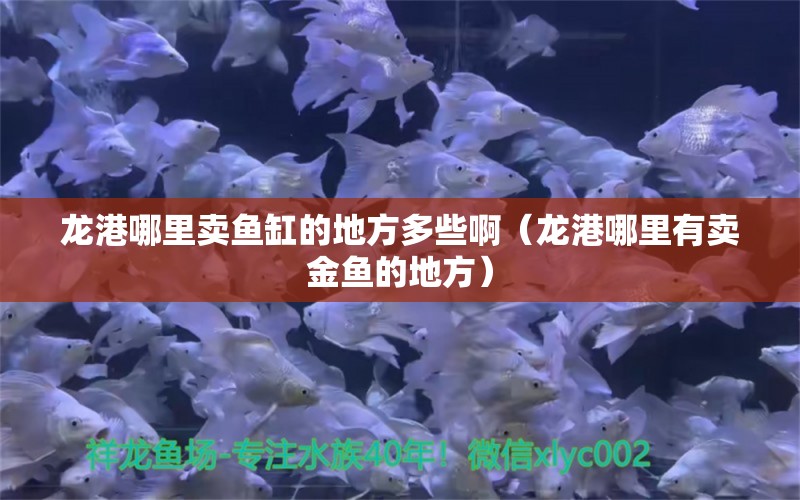 龍港哪里賣魚缸的地方多些?。埜勰睦镉匈u金魚的地方）