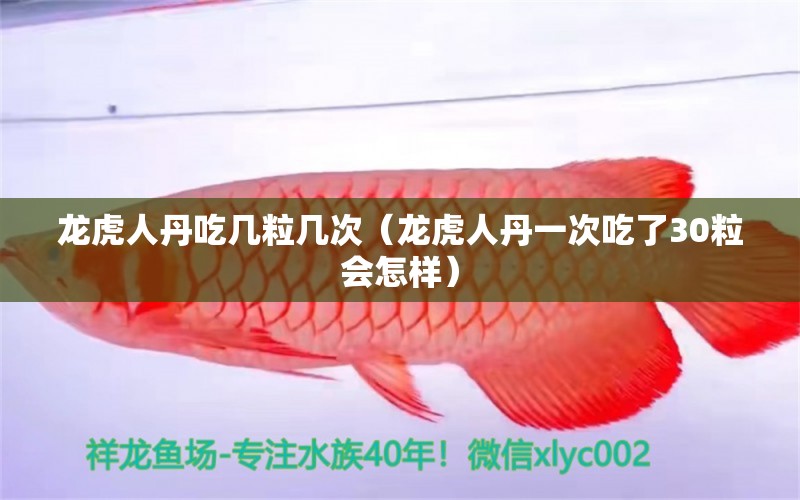 龍虎人丹吃幾粒幾次（龍虎人丹一次吃了30粒會怎樣） 祥龍龍魚魚糧