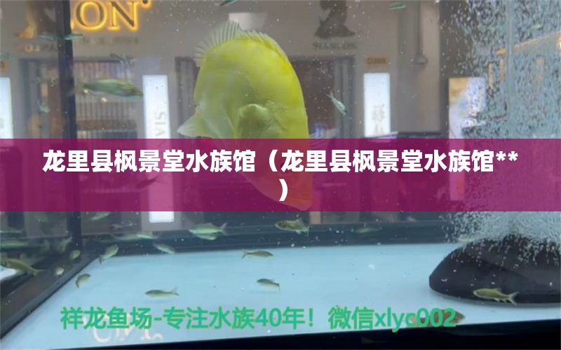 龍里縣楓景堂水族館（龍里縣楓景堂水族館**）