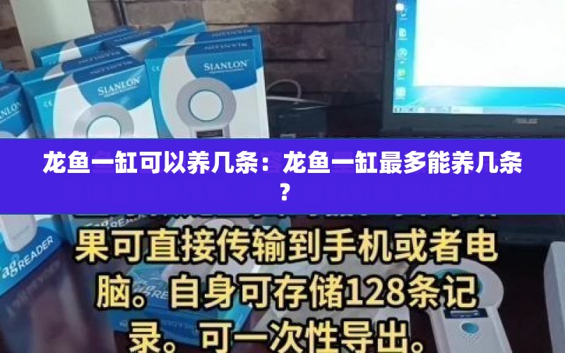 龍魚一缸可以養(yǎng)幾條：龍魚一缸最多能養(yǎng)幾條？ 水族問答 第1張