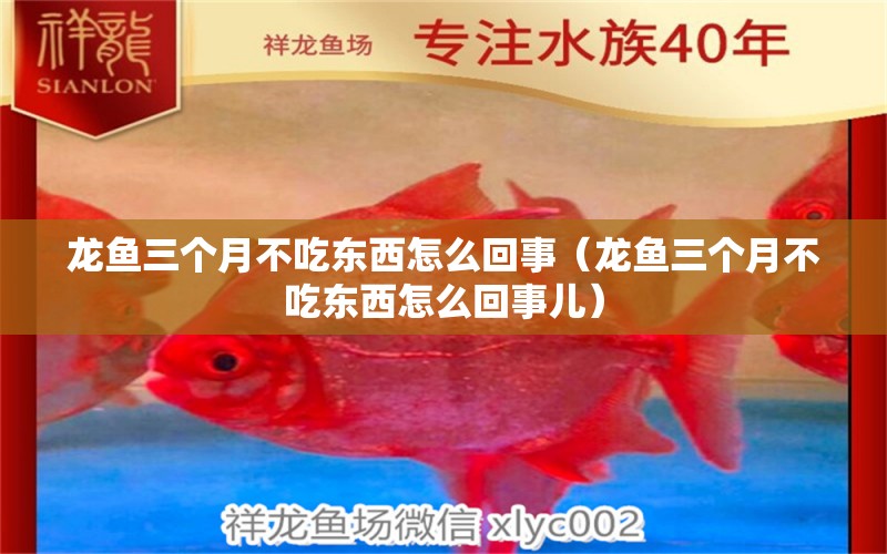 龍魚三個(gè)月不吃東西怎么回事（龍魚三個(gè)月不吃東西怎么回事兒）