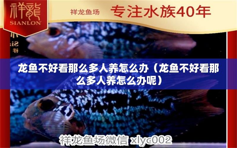 龍魚不好看那么多人養(yǎng)怎么辦（龍魚不好看那么多人養(yǎng)怎么辦呢） 龍魚疾病與治療