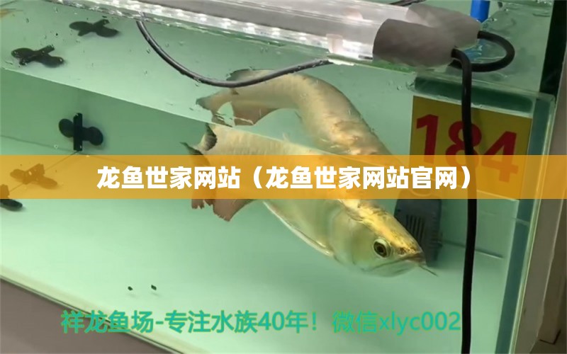 龍魚(yú)世家網(wǎng)站（龍魚(yú)世家網(wǎng)站官網(wǎng)） 廣州龍魚(yú)批發(fā)市場(chǎng)