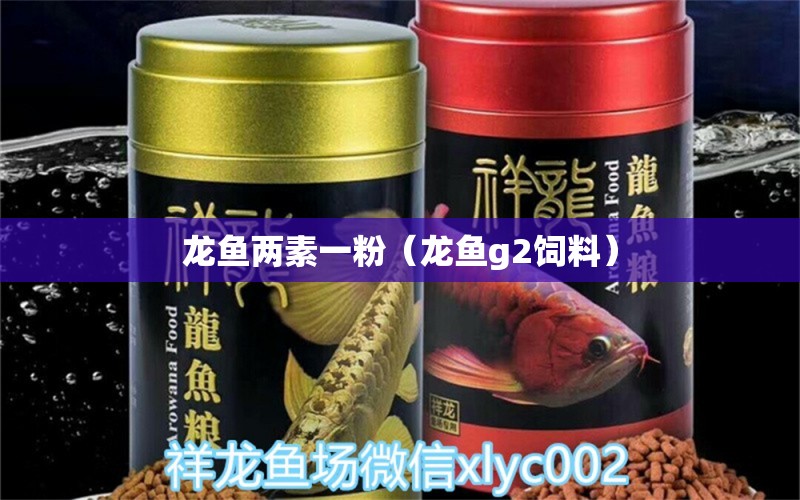 龍魚兩素一粉（龍魚g2飼料） 龍魚疾病與治療