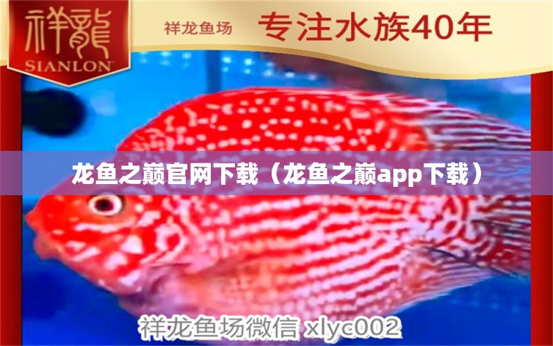 龍魚之巔官網(wǎng)下載（龍魚之巔app下載） 廣州龍魚批發(fā)市場(chǎng)