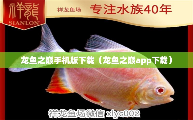 龍魚之巔手機版下載（龍魚之巔app下載）