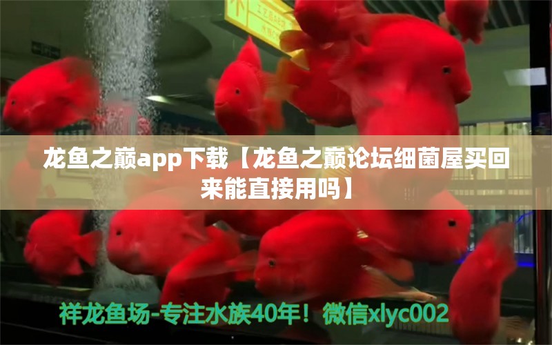 龍魚之巔app下載【龍魚之巔論壇細菌屋買回來能直接用嗎】