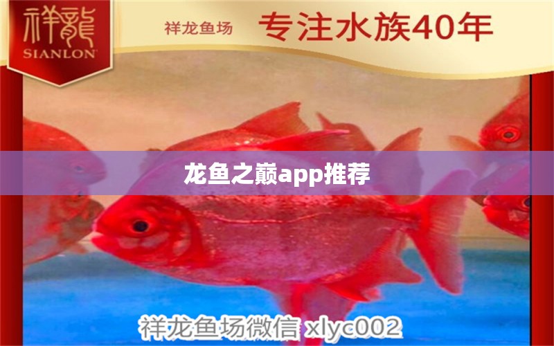 龍魚之巔app推薦 泰龐海蓮魚