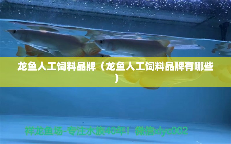 龍魚人工飼料品牌（龍魚人工飼料品牌有哪些）