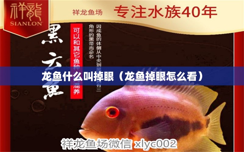 龍魚什么叫掉眼（龍魚掉眼怎么看）