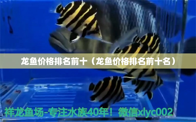 龍魚價格排名前十（龍魚價格排名前十名）