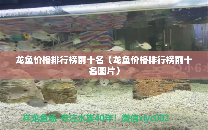 龍魚價格排行榜前十名（龍魚價格排行榜前十名圖片）