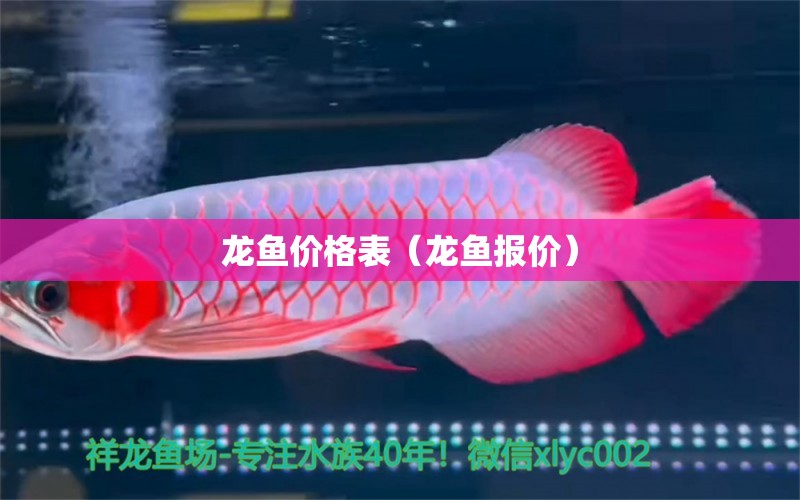 龍魚(yú)價(jià)格表（龍魚(yú)報(bào)價(jià)） 廣州龍魚(yú)批發(fā)市場(chǎng)