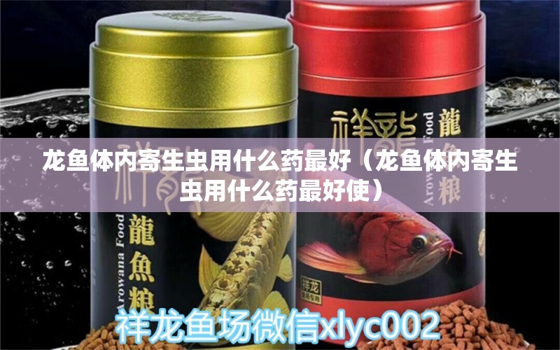 龍魚體內(nèi)寄生蟲用什么藥最好（龍魚體內(nèi)寄生蟲用什么藥最好使） 龍魚疾病與治療