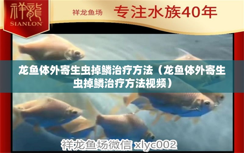 龍魚體外寄生蟲掉鱗治療方法（龍魚體外寄生蟲掉鱗治療方法視頻）