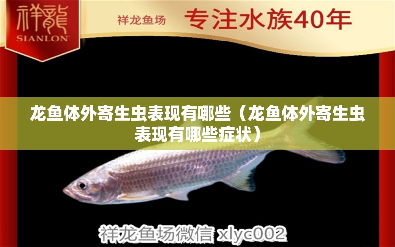 龍魚體外寄生蟲表現(xiàn)有哪些（龍魚體外寄生蟲表現(xiàn)有哪些癥狀）