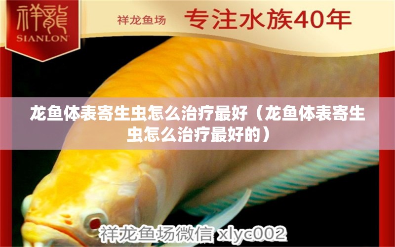 龍魚(yú)體表寄生蟲(chóng)怎么治療最好（龍魚(yú)體表寄生蟲(chóng)怎么治療最好的）