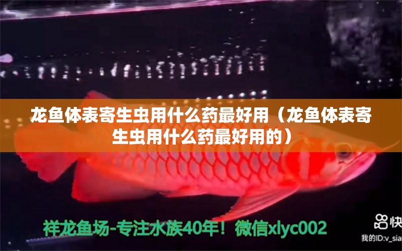 龍魚體表寄生蟲用什么藥最好用（龍魚體表寄生蟲用什么藥最好用的） 龍魚疾病與治療