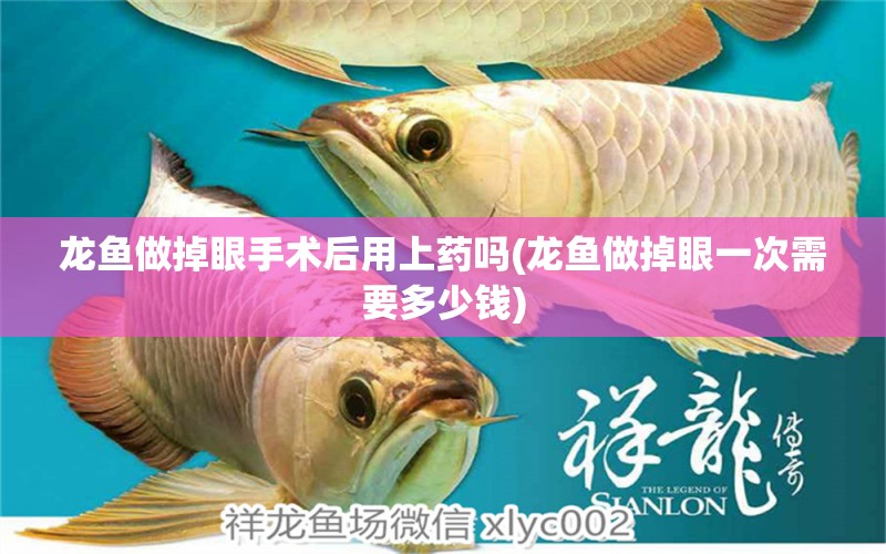 龍魚做掉眼手術(shù)后用上藥嗎(龍魚做掉眼一次需要多少錢) 女王大帆魚苗 第1張