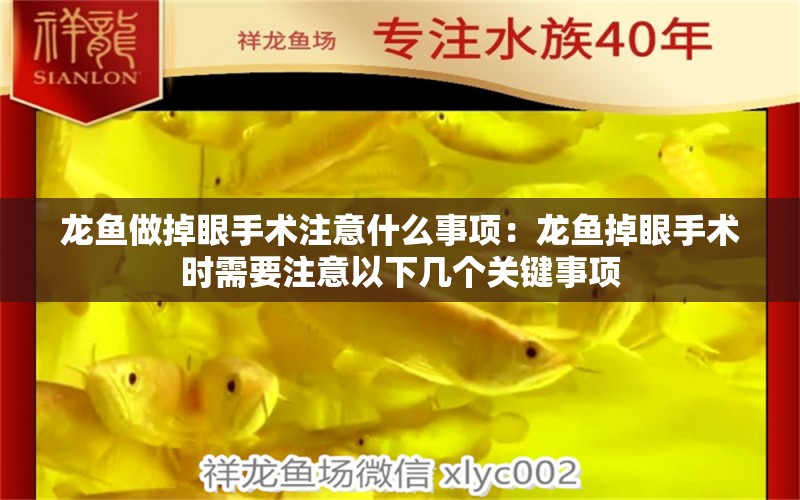 龍魚做掉眼手術(shù)注意什么事項(xiàng)：龍魚掉眼手術(shù)時(shí)需要注意以下幾個(gè)關(guān)鍵事項(xiàng) 龍魚百科 第1張