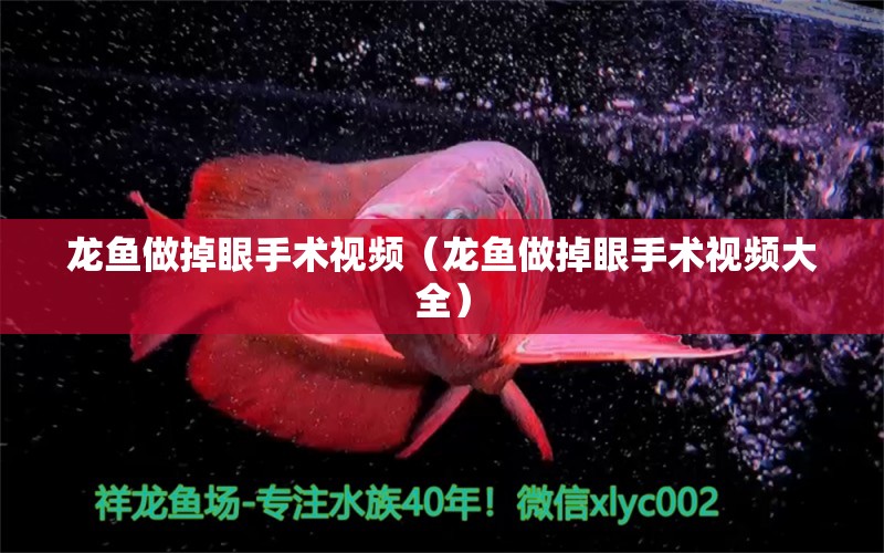 龍魚做掉眼手術視頻（龍魚做掉眼手術視頻大全）