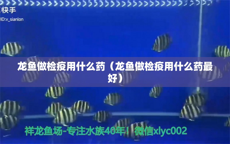 龍魚(yú)做檢疫用什么藥（龍魚(yú)做檢疫用什么藥最好）