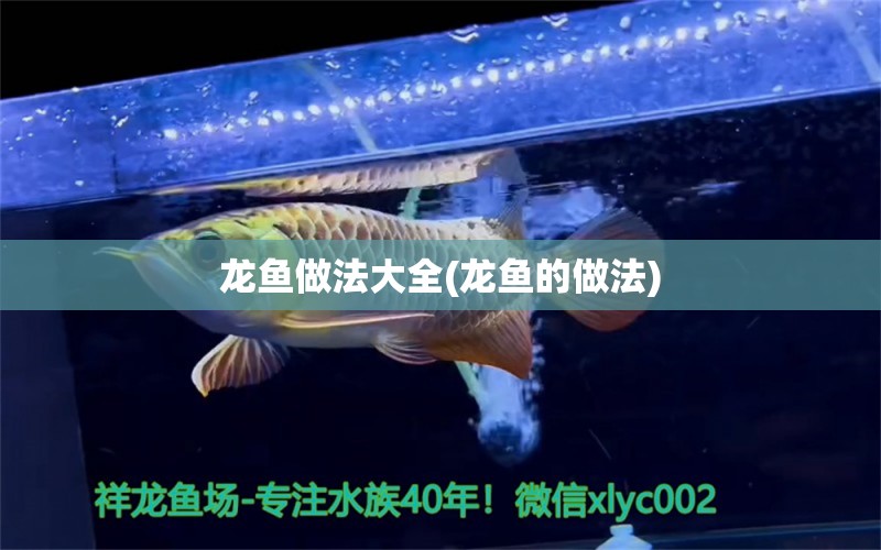 龍魚做法大全(龍魚的做法) 黑白雙星