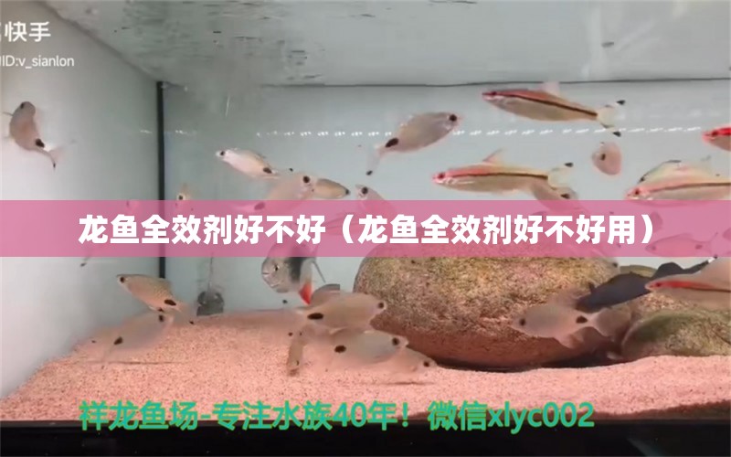 龍魚全效劑好不好（龍魚全效劑好不好用）