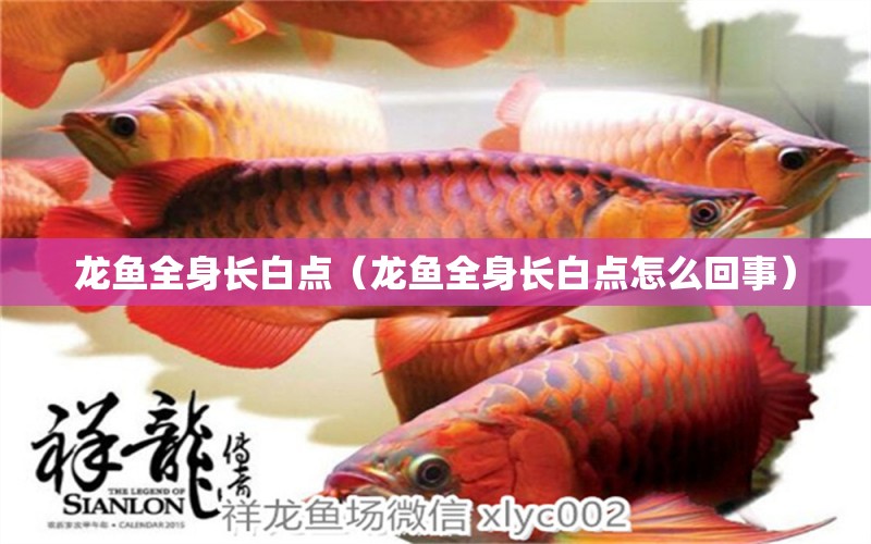 龍魚全身長(zhǎng)白點(diǎn)（龍魚全身長(zhǎng)白點(diǎn)怎么回事） 廣州龍魚批發(fā)市場(chǎng)