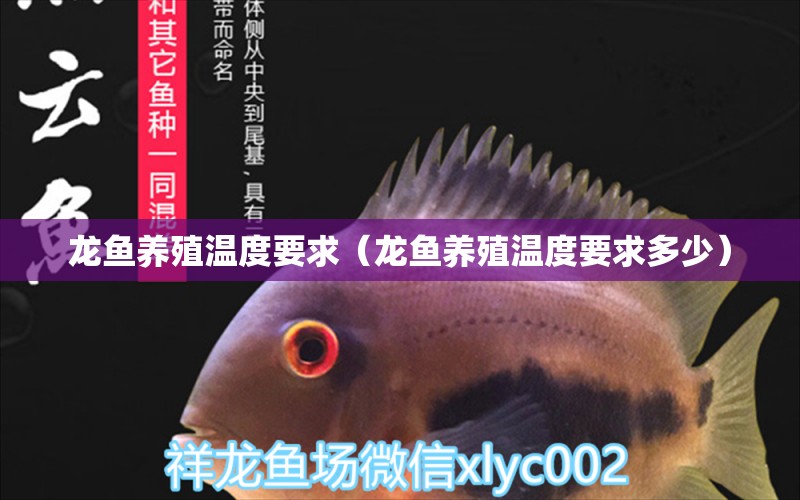 龍魚養(yǎng)殖溫度要求（龍魚養(yǎng)殖溫度要求多少） 祥龍水族醫(yī)院