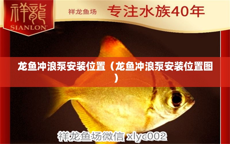 龍魚沖浪泵安裝位置（龍魚沖浪泵安裝位置圖）