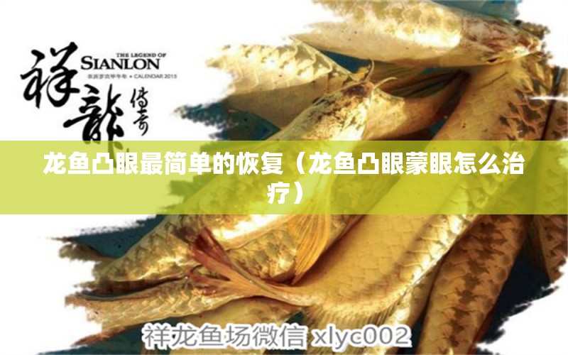 龍魚(yú)凸眼最簡(jiǎn)單的恢復(fù)（龍魚(yú)凸眼蒙眼怎么治療）