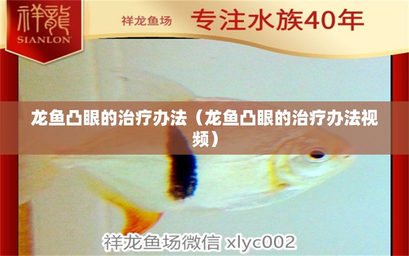 龍魚(yú)凸眼的治療辦法（龍魚(yú)凸眼的治療辦法視頻）