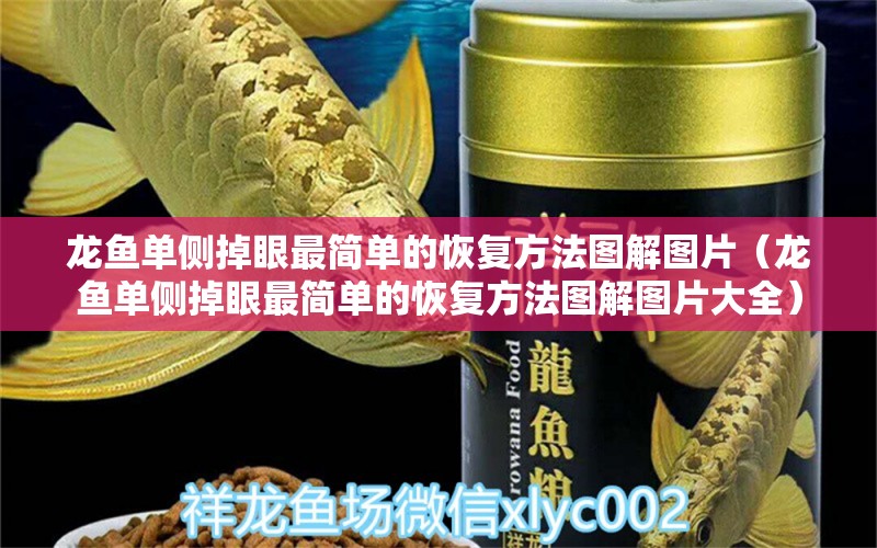 龍魚單側掉眼最簡單的恢復方法圖解圖片（龍魚單側掉眼最簡單的恢復方法圖解圖片大全）