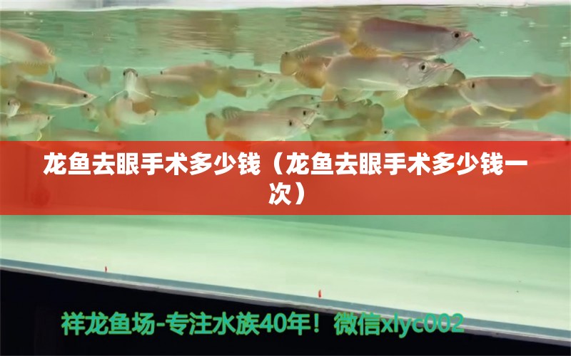 龍魚去眼手術多少錢（龍魚去眼手術多少錢一次）