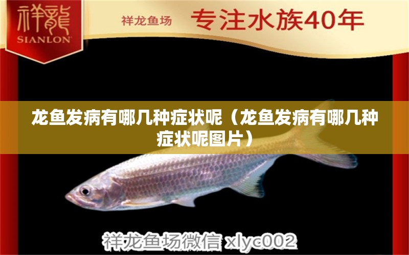 龍魚(yú)發(fā)病有哪幾種癥狀呢（龍魚(yú)發(fā)病有哪幾種癥狀呢圖片）