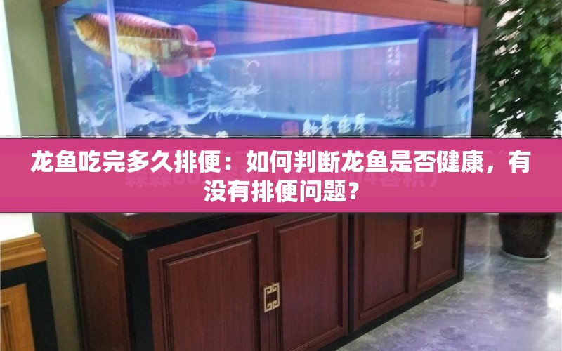 龍魚吃完多久排便：如何判斷龍魚是否健康，有沒有排便問題？ 水族問答 第2張