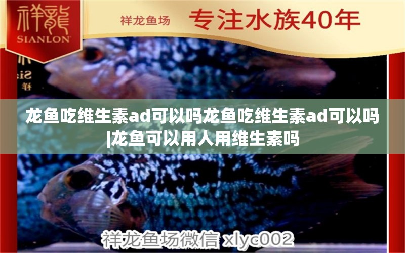 龍魚(yú)吃維生素ad可以嗎龍魚(yú)吃維生素ad可以嗎|龍魚(yú)可以用人用維生素嗎