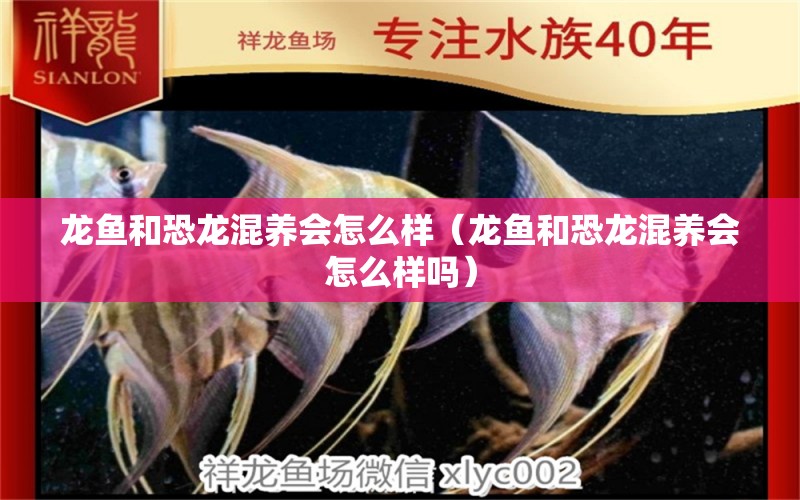 龍魚和恐龍混養(yǎng)會怎么樣（龍魚和恐龍混養(yǎng)會怎么樣嗎） 廣州龍魚批發(fā)市場