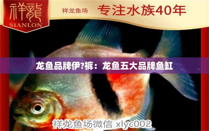 龍魚品牌伊?褲：龍魚五大品牌魚缸