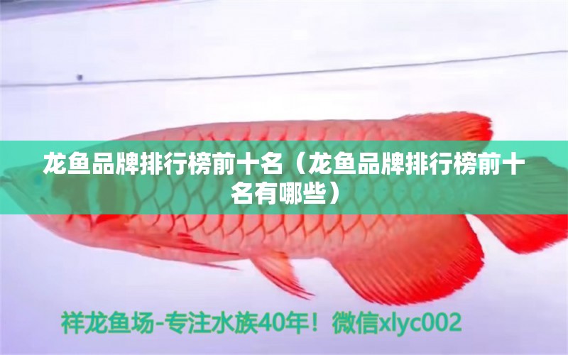 龍魚品牌排行榜前十名（龍魚品牌排行榜前十名有哪些）