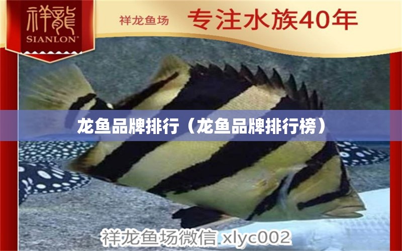 龍魚品牌排行（龍魚品牌排行榜） 其他品牌魚缸