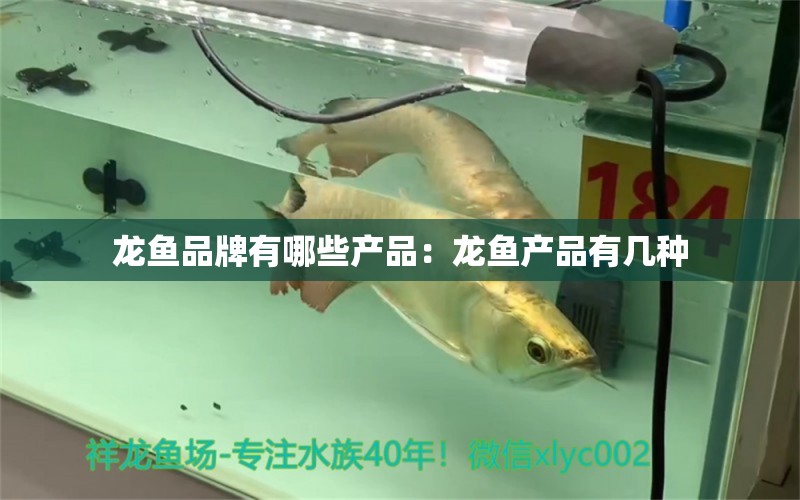 龍魚品牌有哪些產(chǎn)品：龍魚產(chǎn)品有幾種