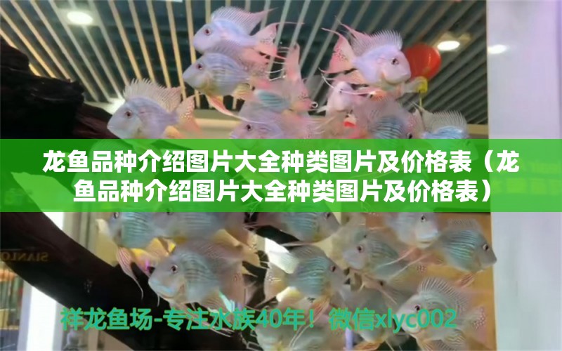 龍魚品種介紹圖片大全種類圖片及價(jià)格表（龍魚品種介紹圖片大全種類圖片及價(jià)格表）