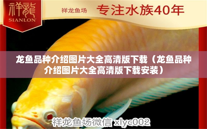 龍魚品種介紹圖片大全高清版下載（龍魚品種介紹圖片大全高清版下載安裝）