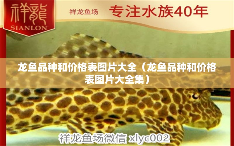 龍魚品種和價(jià)格表圖片大全（龍魚品種和價(jià)格表圖片大全集）