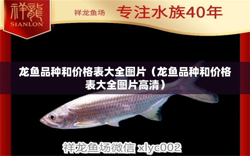 龍魚(yú)品種和價(jià)格表大全圖片（龍魚(yú)品種和價(jià)格表大全圖片高清） 龍魚(yú)疾病與治療