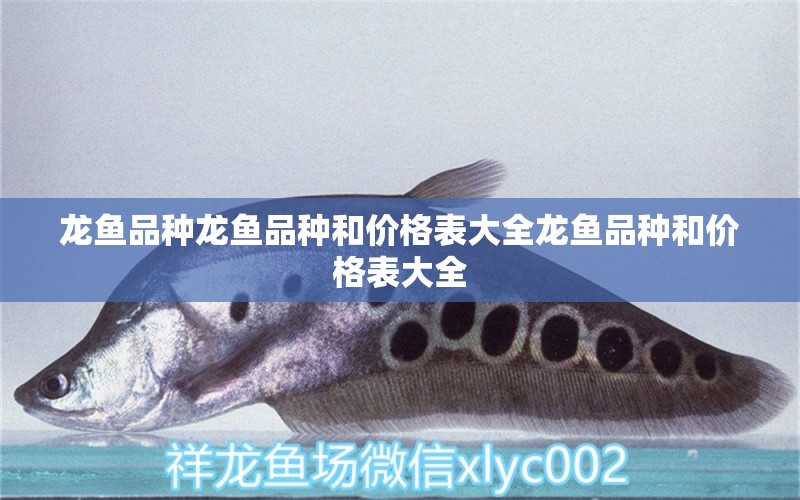 龍魚品種龍魚品種和價(jià)格表大全龍魚品種和價(jià)格表大全