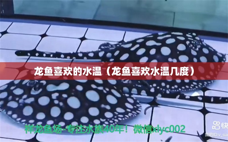 龍魚喜歡的水溫（龍魚喜歡水溫幾度） 元寶鳳凰魚