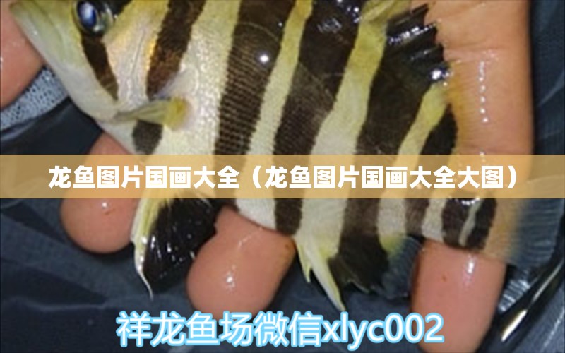 龍魚圖片國畫大全（龍魚圖片國畫大全大圖）